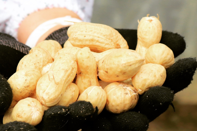 岩見沢市観光協会の写真1