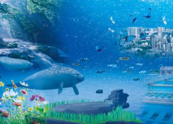 METoA Ginzaの写真1