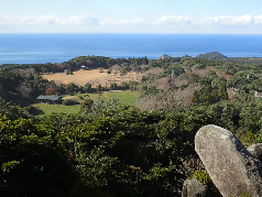 唐人駄場遺跡の写真1