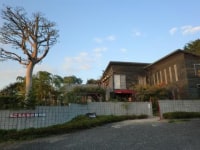 石ころたちの動物園