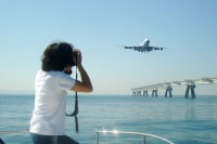 ドッグファイト