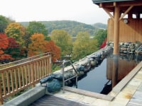 天然温泉 森のゆ