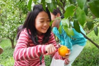 秋津野ガルテン