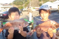 Fish in the Farmまるちょう