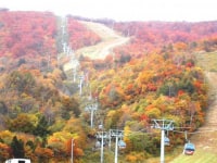 夏油高原温泉 兎森の湯
