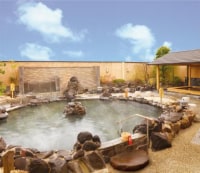 大江戸温泉物語 仙台コロナの湯