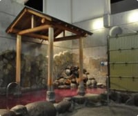 ゆっぽ とみや大清水