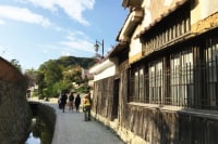 イワミノチカラ