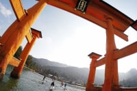 マジックアイランド広島店