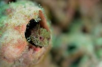 ブルーワールド