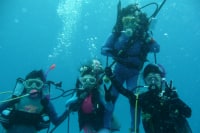 ももたろうダイビングクラブ