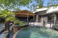 湯けむり天然秘湯 龍泉の湯