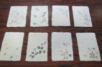 土佐和紙工芸村内実習館