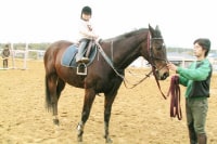 ライディングスクールスマイルフィールド