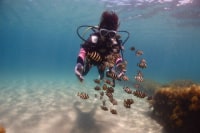 ハイタイドスクーバ