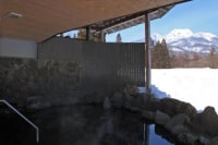 アルペンブリックスパ　日帰り温泉(旧：ランドマーク妙高高原)