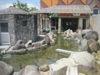 竜ヶ窪温泉 竜神の館