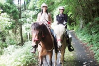 どさんこミラファーム