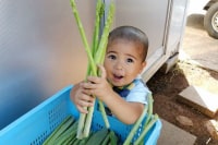 森のアスパラ A-noker