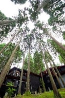 福井市美山森林温泉 みらくる亭