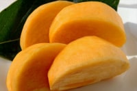 観光農園吉次園