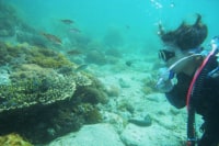 牛深ダイビングサービス