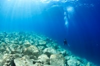 熊本ダイビングサービスよかよか