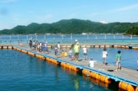 天草釣堀レジャーランド