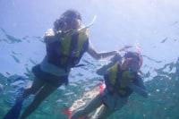 とどろき万太郎ビレッジ