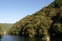 松原ダム遊覧観光