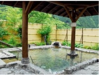 国民保養温泉地 梅ヶ島新田温泉 黄金の湯