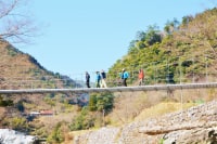 フォレストピア高千穂郷ツーリズム協会