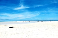 百合ヶ浜グラスボート事業組合