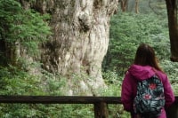 フィールド&マウンテン屋久島