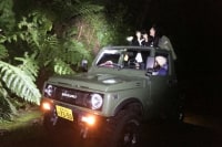 奄美ナイトウォッチングガイドサービス