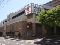 天然温泉 白鳥の湯