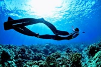 パラダイス倶楽部(沖縄店)