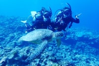 沖縄ダイビングショップKAHANA