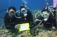 沖縄ダイビングサービスTOYBOX