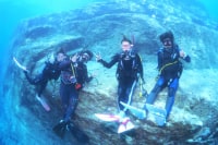 スーパーフィッシュダイビング沖縄