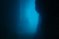 ダイビングショップキラーホエール