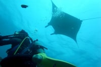 Diving Base Ishigaki-jima