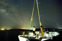 ぷしぃぬしま(石垣店)