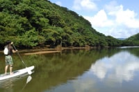 ウォータープレイヤーズ