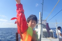 たましろマリンサービス