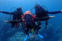 石垣島ダイビングセンターMOSS DIVERS