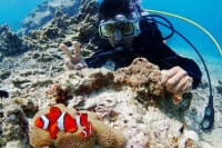 石垣島マリンステージクライム