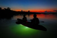 サンセット&ナイトカヤック専門店 inocchiと海遊び