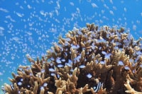 OKマリンクラブ宮古島