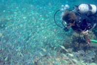 ダイビングショップ モーグル